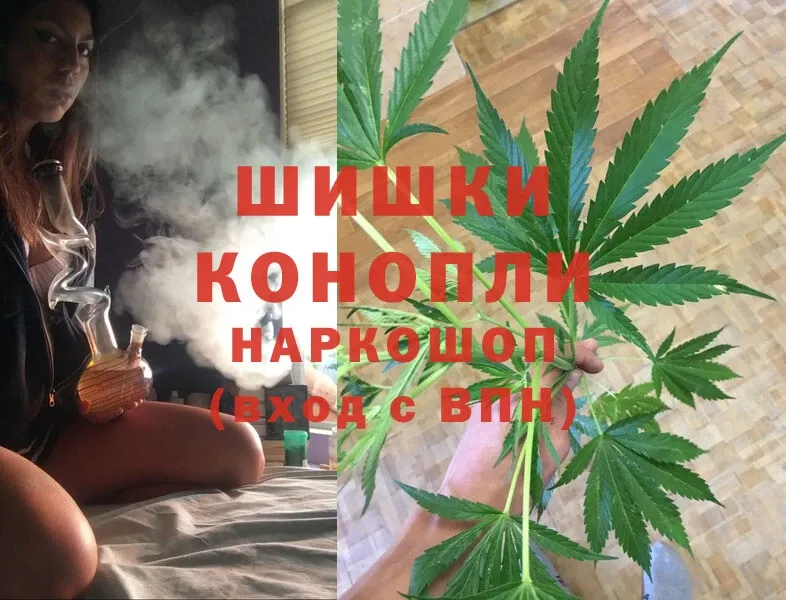 Каннабис OG Kush  Чухлома 